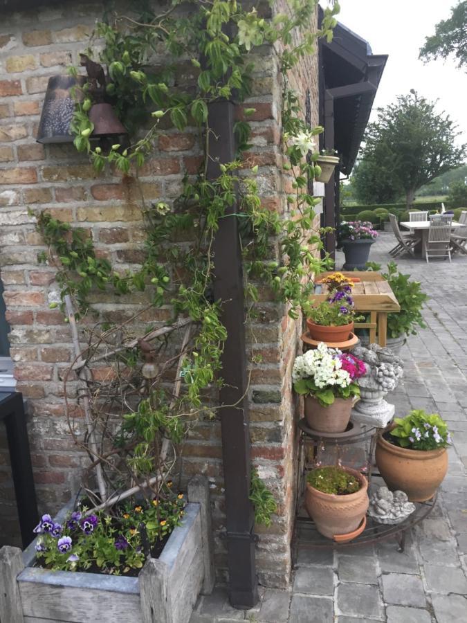 Logies De Meerkoet Bed & Breakfast Brugge