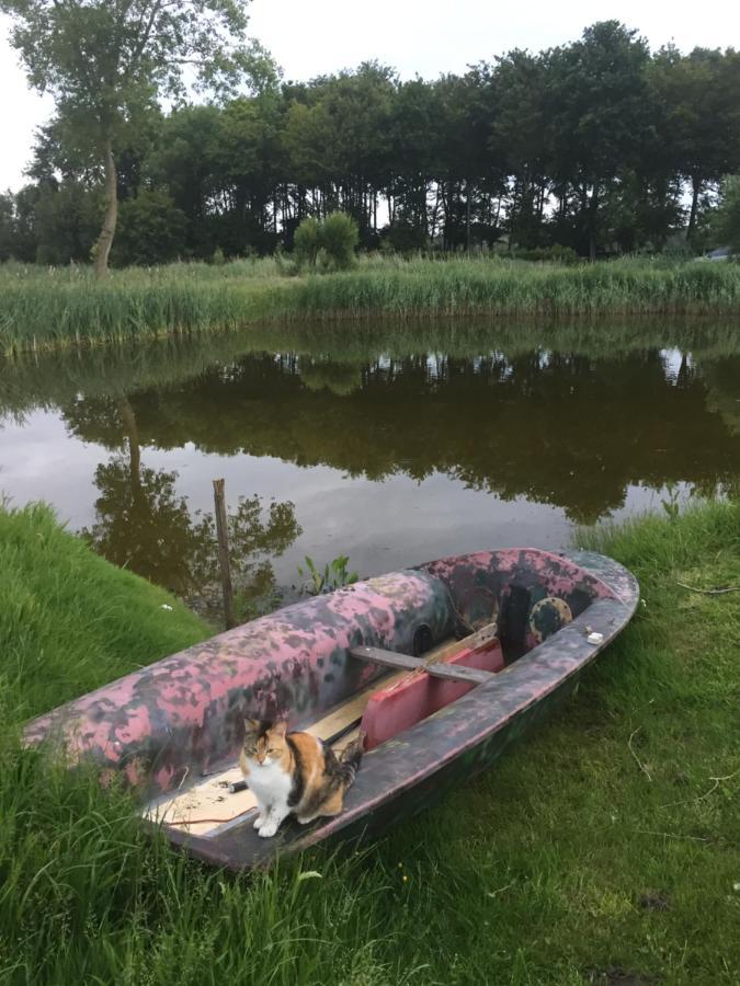 Logies De Meerkoet